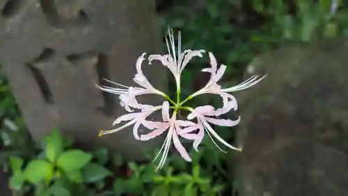 常泉寺(神奈川県)