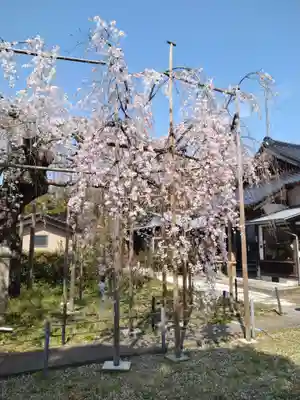 千手院(島根県)
