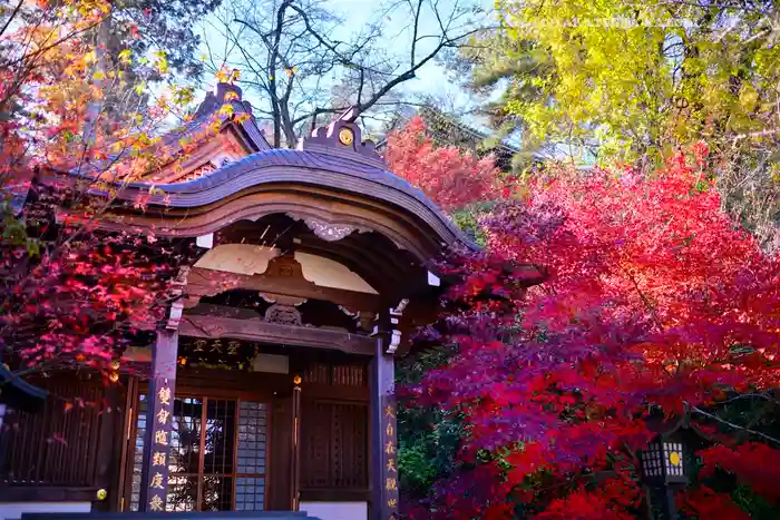 高幡不動尊　金剛寺の本殿