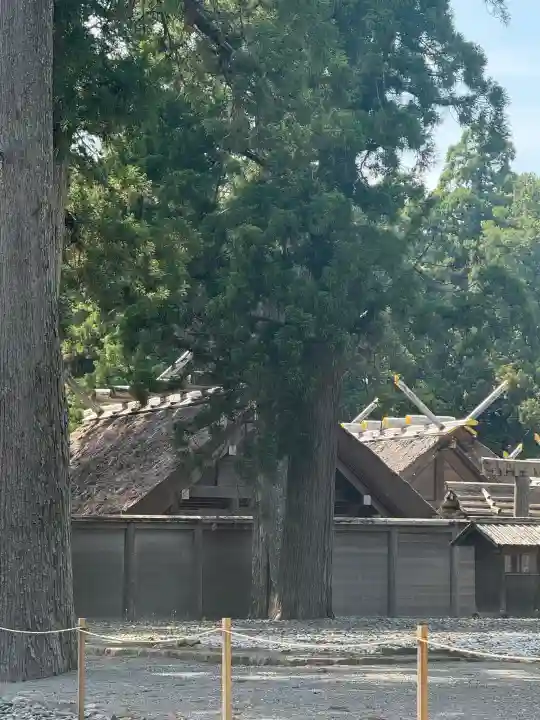 伊勢神宮外宮(豊受大神宮)の{uncategorized: "未分類", other: "その他", undefined: "問題あり", building: "その他建物", grave: "お墓", sacred_gate: "鳥居", guardian: "狛犬", statue: "像", buddha: "仏像", history: "歴史", nature: "自然", garden: "庭園", animal: "動物", pagoda: "塔", temizu: "手水舎", mountain_gate: "山門・神門", sanctuary: "本殿・本堂", subordinate: "末社・摂社", art: "芸術", scenery: "景色", jizo: "地蔵", ema: "絵馬", goshuin: "御朱印", omikuji: "おみくじ", items: "授与品その他", amulet: "お守り", goshuincho: "御朱印帳", eats: "食事", festival: "お祭り", votive_dance: "神楽", shichigosan: "七五三参", wedding: "結婚式", experience: "体験その他", initially: "初詣", around: "周辺", anti_infection: "感染症対策"}