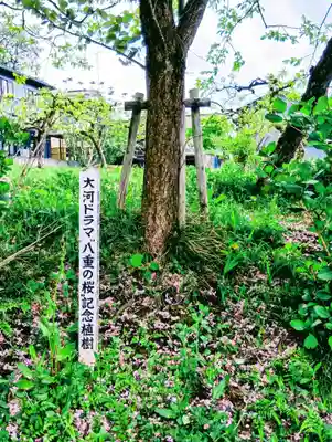大龍寺(福島県)
