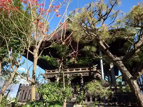 白髭神社(東京都)