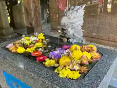 滑川神社 - 仕事と子どもの守り神の手水