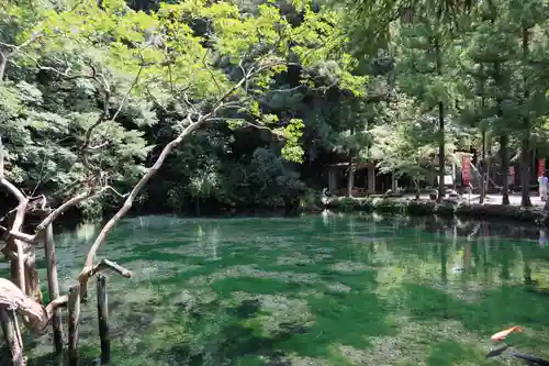 涌釜神社の庭園