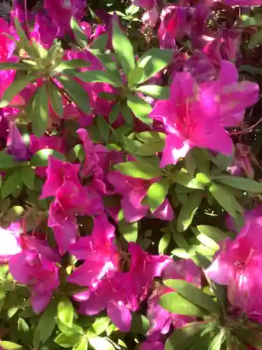 三輪神社の自然