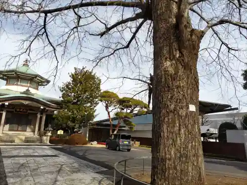 妙延寺のその他建物