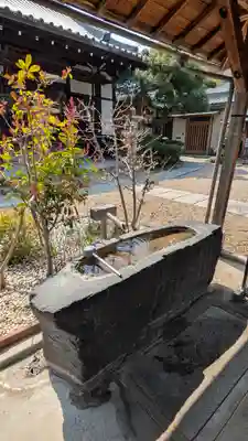 観音寺(大阪府)