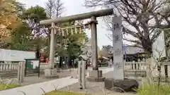 浅草神社の鳥居