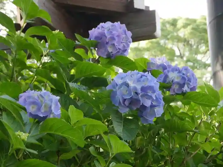 伊勢山皇大神宮の自然