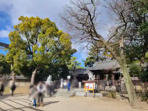 住吉大社(大阪府)