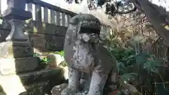 大杉神社の狛犬