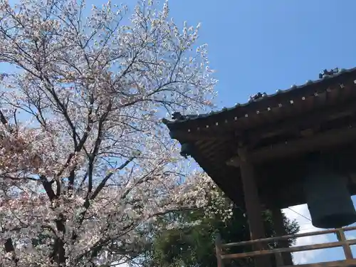 法源寺の建物その他