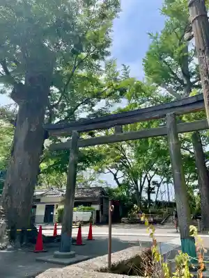 亀岡八幡宮（亀岡八幡神社）(神奈川県)