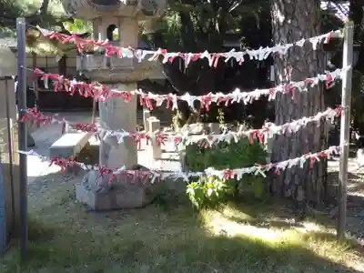 御香宮神社のおみくじ