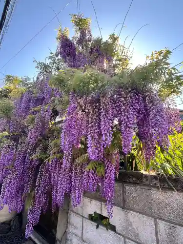 真如寺(大阪府)