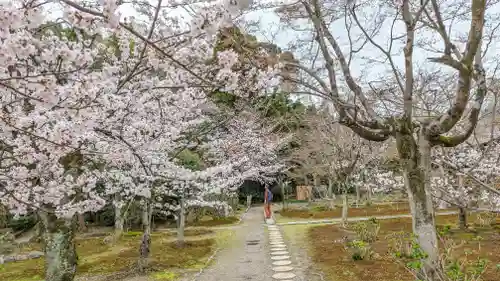 勧修寺(京都府)