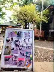 上目黒氷川神社(東京都)