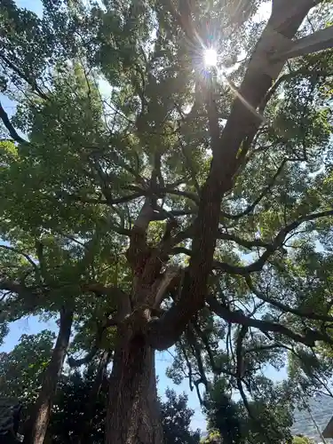 高忍日賣神社(愛媛県)