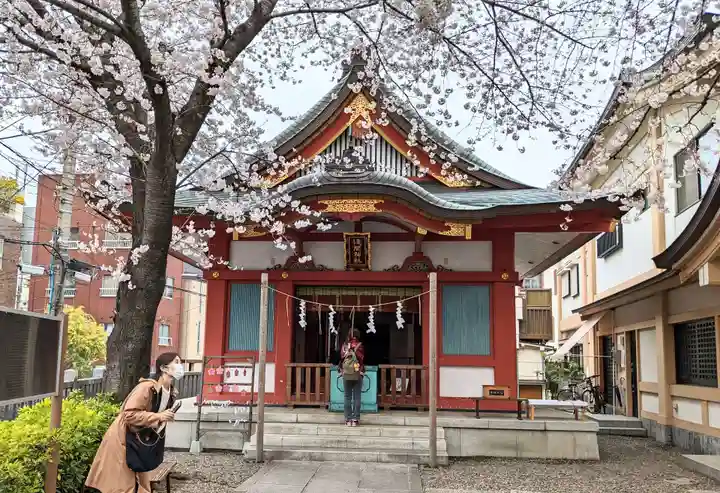 浅草富士浅間神社の本殿・本堂