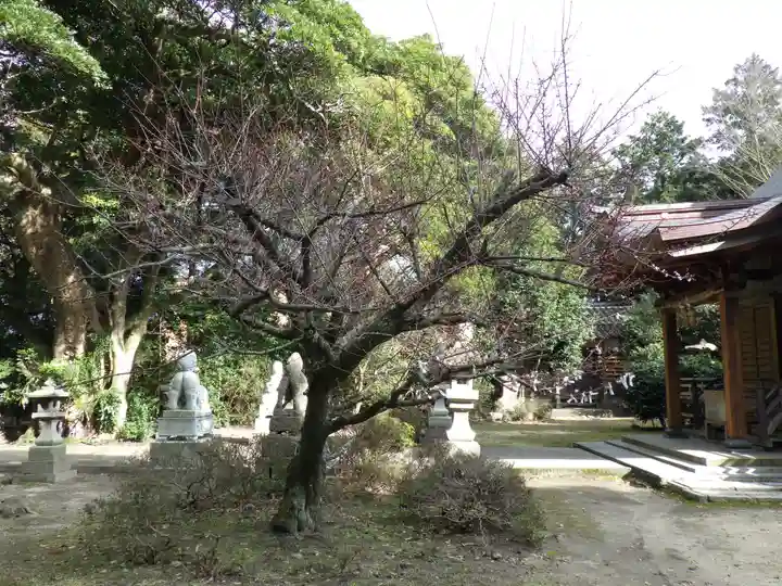 壹宮神社の自然