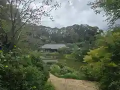 浄瑠璃寺(京都府)