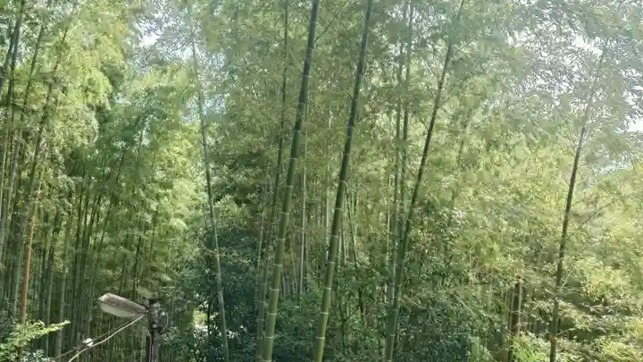久延彦神社(奈良県)