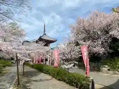 本法寺(京都府)