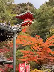 今熊野観音寺(京都府)