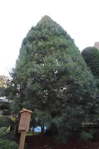 安楽寺(長野県)