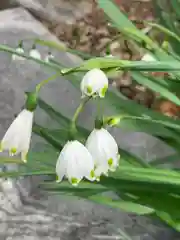 三嶋神社の自然