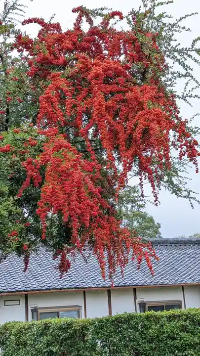 西迎寺(京都府)