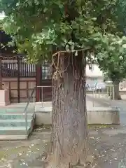 神明神社(埼玉県)