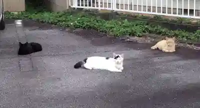 若宮八幡宮(愛知県)