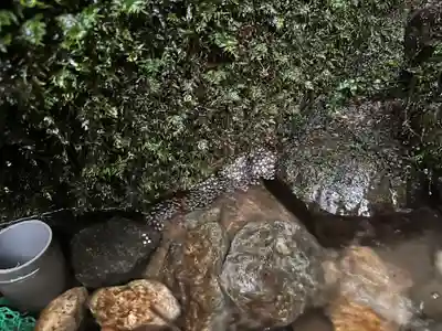 三川大権現社(弥勒寺)(兵庫県)