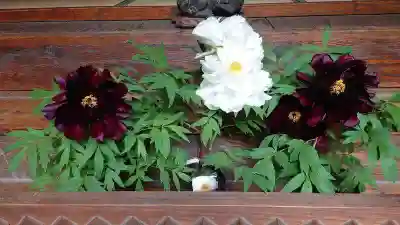 龍真寺(群馬県)