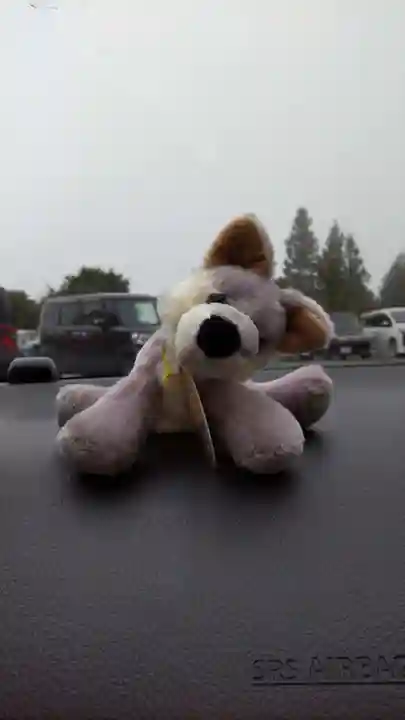 三峯神社(埼玉県)