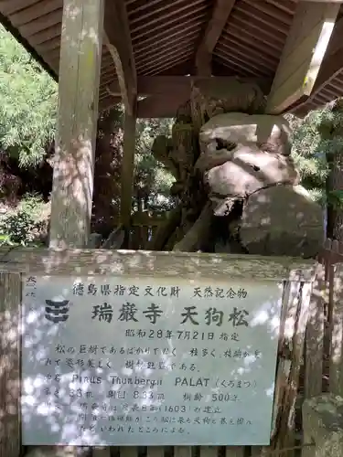 瑞巌寺(徳島県)