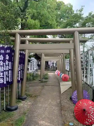 白金龍王社(愛知県)