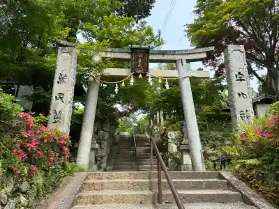 聖天宮 西江寺の{uncategorized: "未分類", other: "その他", undefined: "問題あり", building: "その他建物", grave: "お墓", sacred_gate: "鳥居", guardian: "狛犬", statue: "像", buddha: "仏像", history: "歴史", nature: "自然", garden: "庭園", animal: "動物", pagoda: "塔", temizu: "手水舎", mountain_gate: "山門・神門", sanctuary: "本殿・本堂", subordinate: "末社・摂社", art: "芸術", scenery: "景色", jizo: "地蔵", ema: "絵馬", goshuin: "御朱印", omikuji: "おみくじ", items: "授与品その他", amulet: "お守り", goshuincho: "御朱印帳", eats: "食事", festival: "お祭り", votive_dance: "神楽", shichigosan: "七五三参", wedding: "結婚式", experience: "体験その他", initially: "初詣", around: "周辺", anti_infection: "感染症対策"}