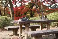 玉野御嶽神社(愛知県)