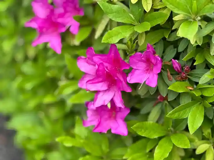西方山極楽寺(岐阜県)