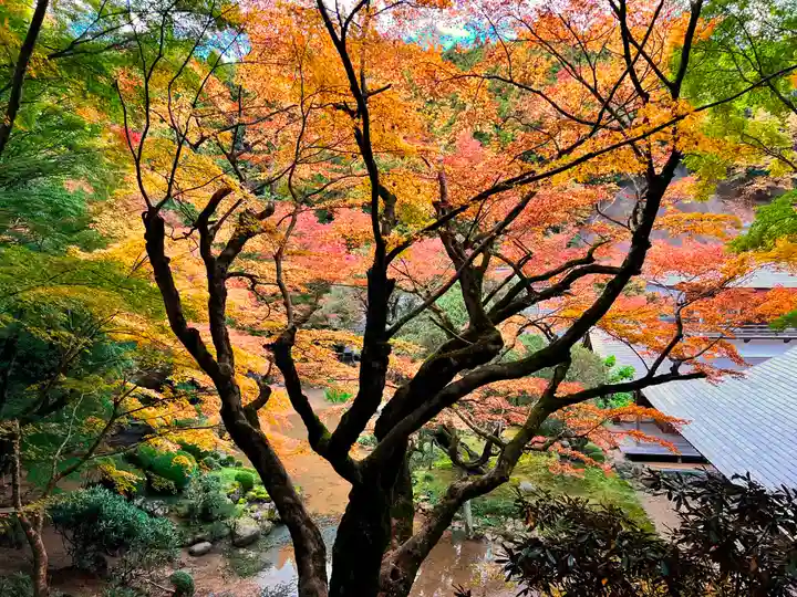 千如寺大悲王院(福岡県)