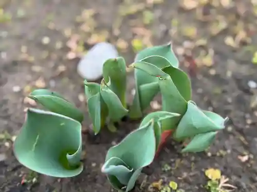 西方山極楽寺(岐阜県)