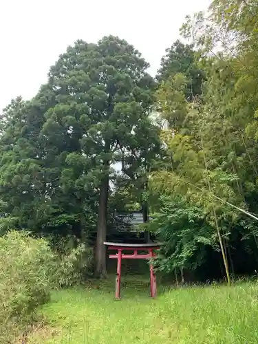 山神神社の鳥居