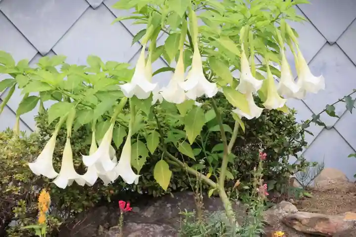大鏑神社の庭園