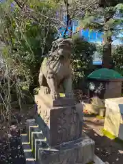 筑土八幡神社の狛犬