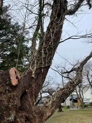 陸奥国分寺 準胝観音堂(宮城県)