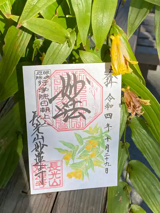 妙蓮寺(神奈川県)