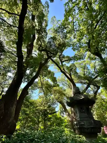 住吉大社(大阪府)