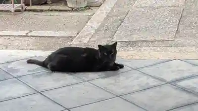 顯正寺（顕正寺）(京都府)